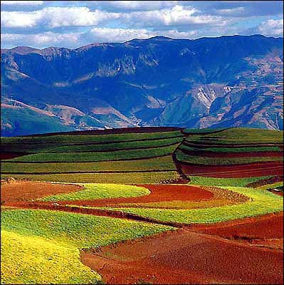 Китайские равнины полезные ископаемые. Великая китайская равнина горы. Северо-Восточная китайская равнина. Великое китайское плоскогорье. Великая китайская равнина рельеф.