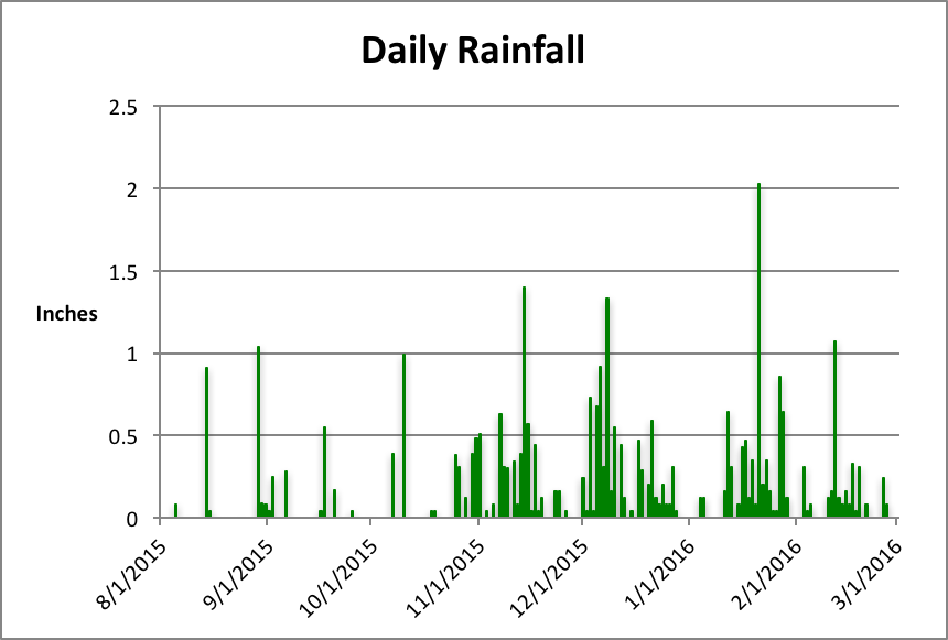 Seattle rainfall year to date