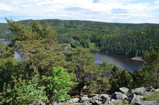 DSC_0028.JPG