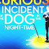 The Curious Incident Of The Dog In The Night-Time - The Curious Incident Of The Dog At Night Time