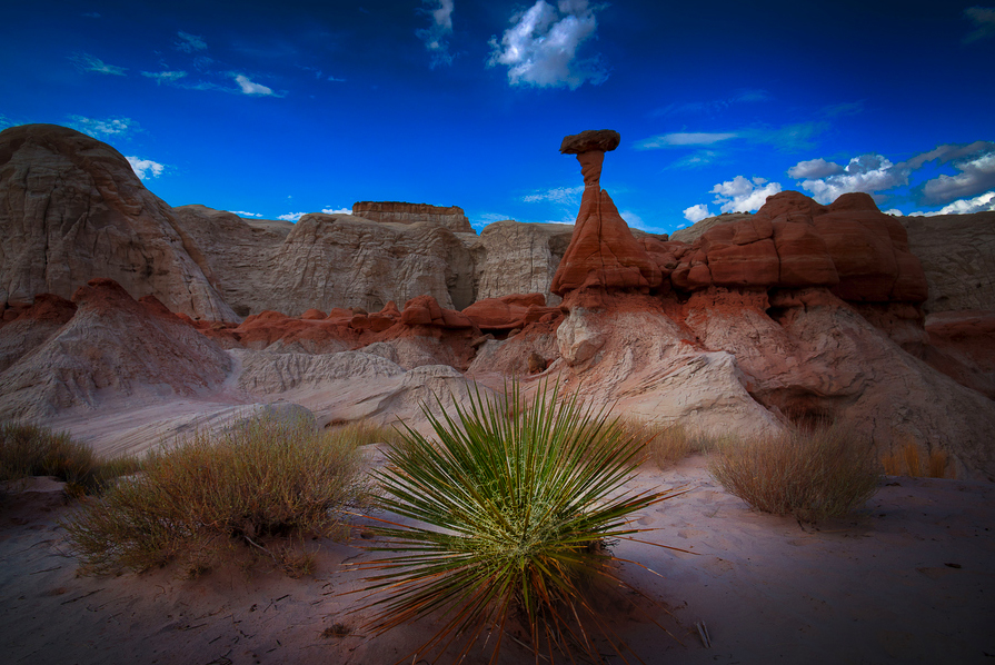 Banco de Imágenes Gratis: Las mejores imágenes del 2013 según nuestro