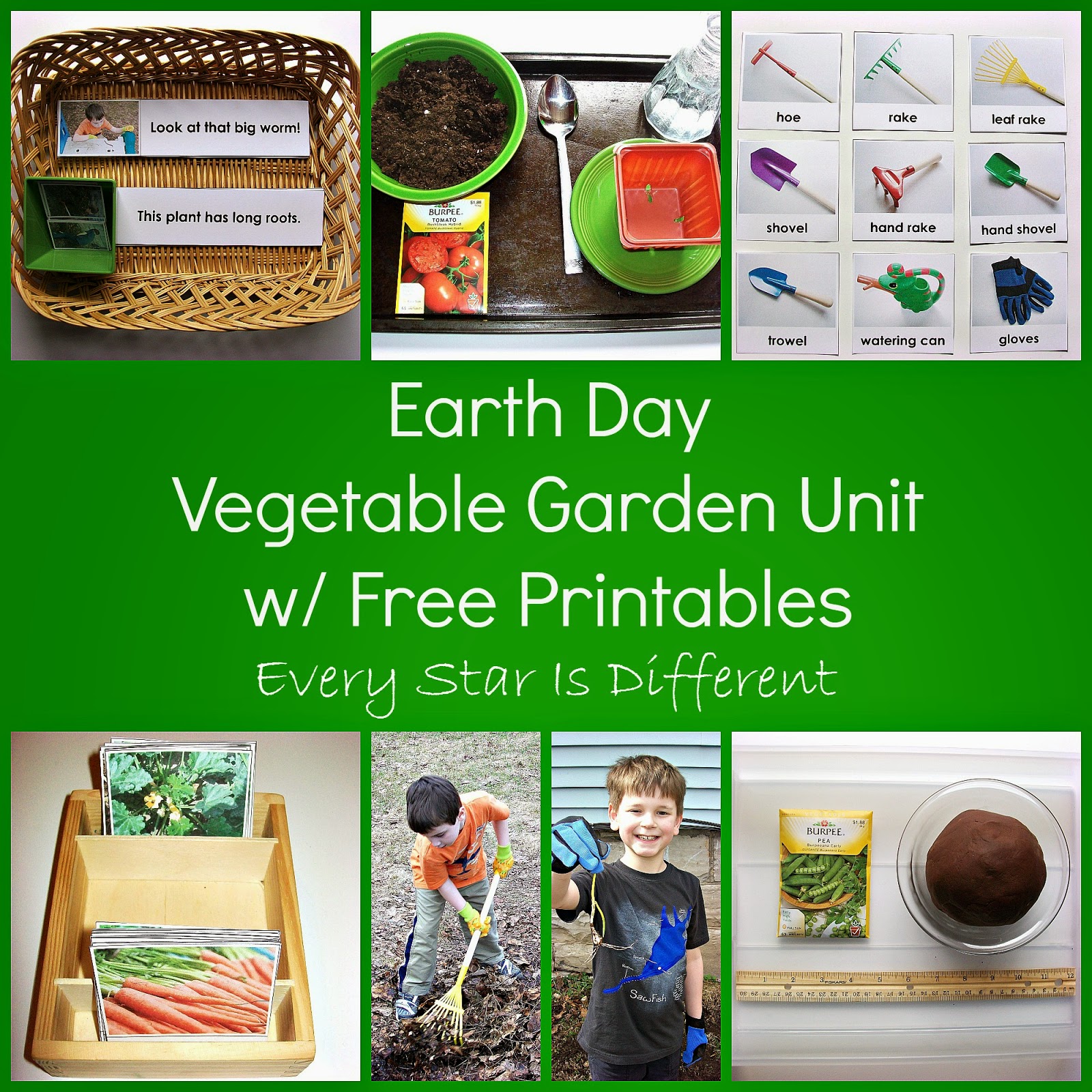 Earth Day Vegetable Garden Unit With Free Printables Every Star Is 