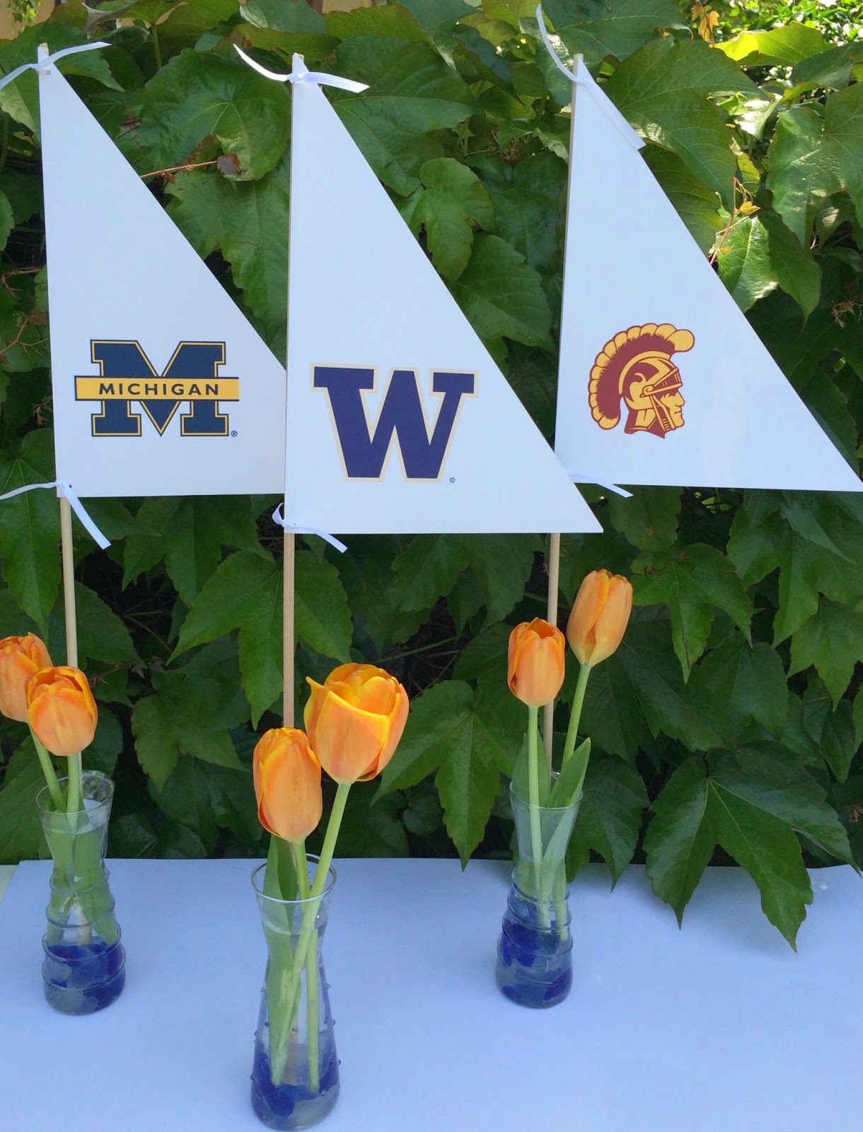 Jac o' lyn Murphy Nautical Graduation Party Centerpieces