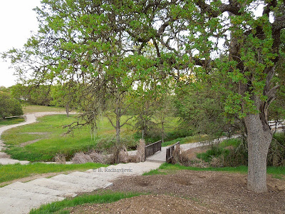 The Snead/Ramboiullet Trail in Paso Robles, © B. Radisavljevic