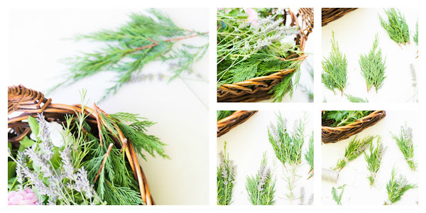 Ramilletes plantas diy