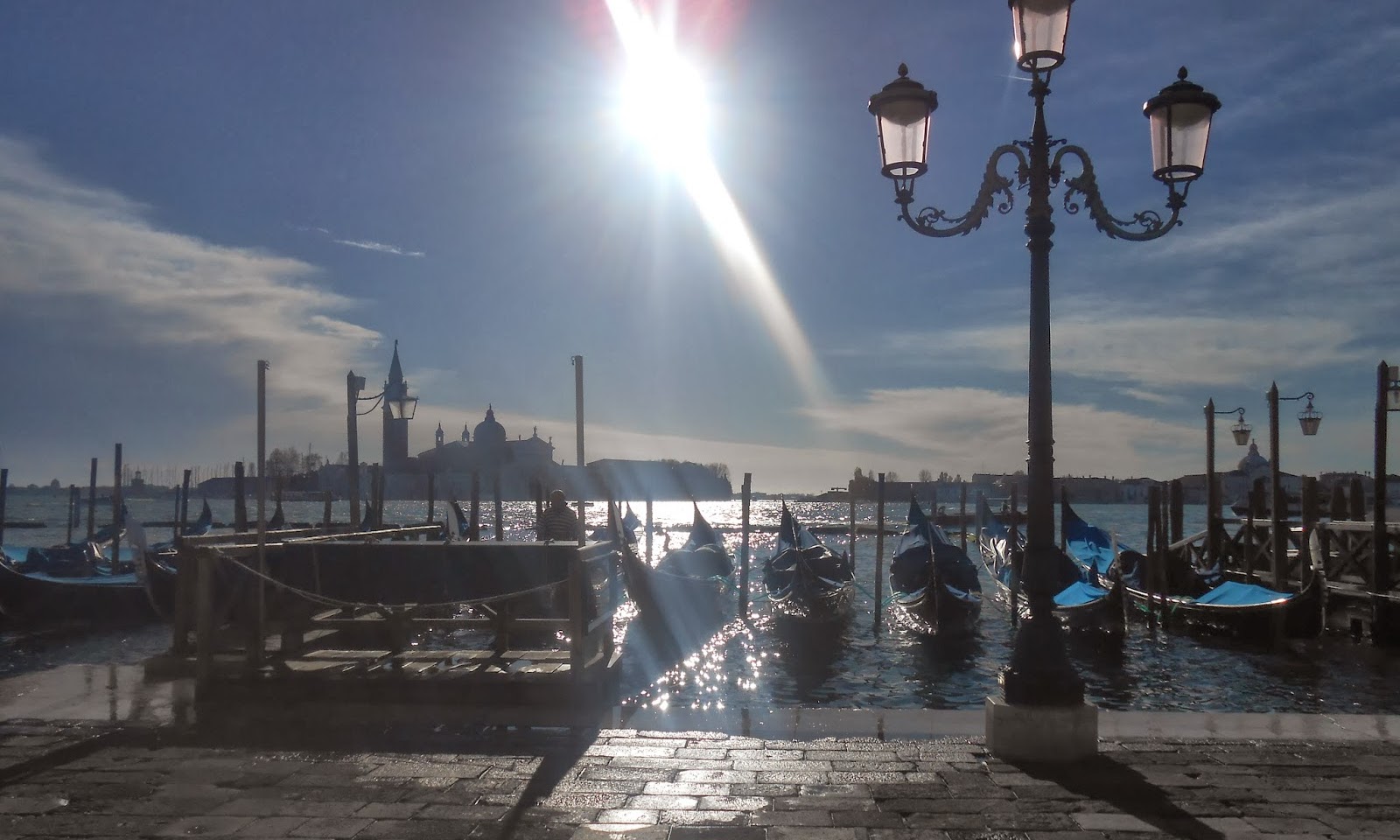 L'anno che verrà: Tra Glicine e Melograno: The Garden in Venice Blog in 2013 .. and 2014