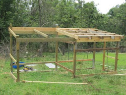 The Farm of Hale: Chicken Coop