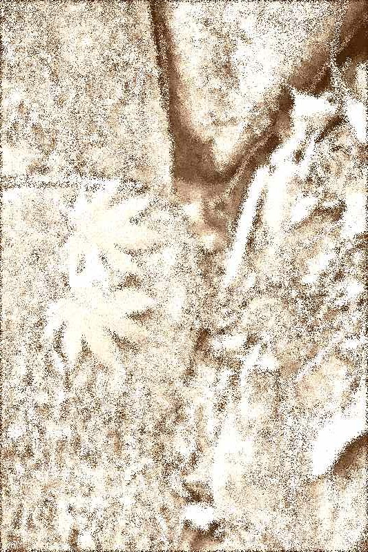 순천 조계산 선암사 순천 조계산 선암사