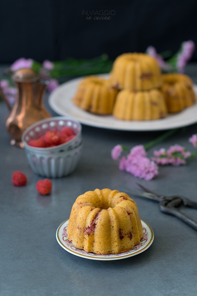 Ciambelle vegane ai lamponi Ciambelle vegane ai lamponi