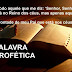 Nem todo aquele que me diz: Senhor, Senhor, entrará no Reino dos céus, mas apenas aquele que faz a vontade de meu Pai que está nos céus. (Mateus 7:21)