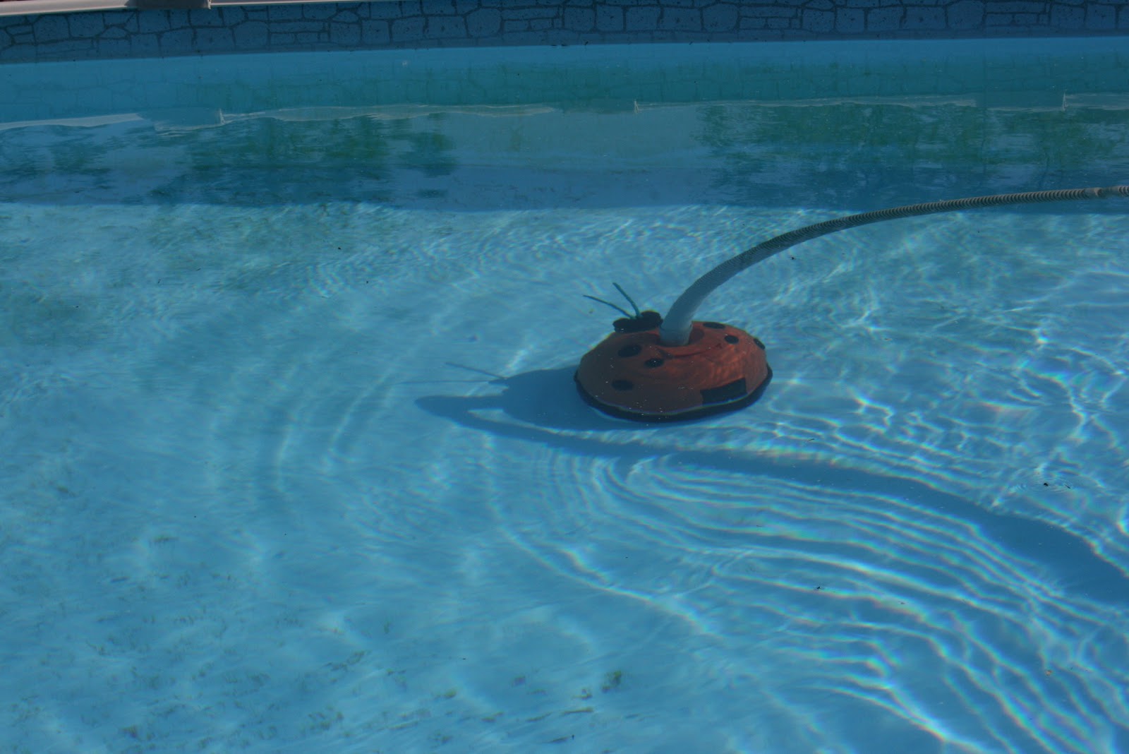 Challenged Survival: I got an Aquabug!