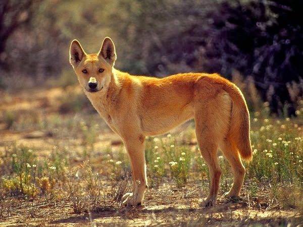 AVEEK Blogs January 2014