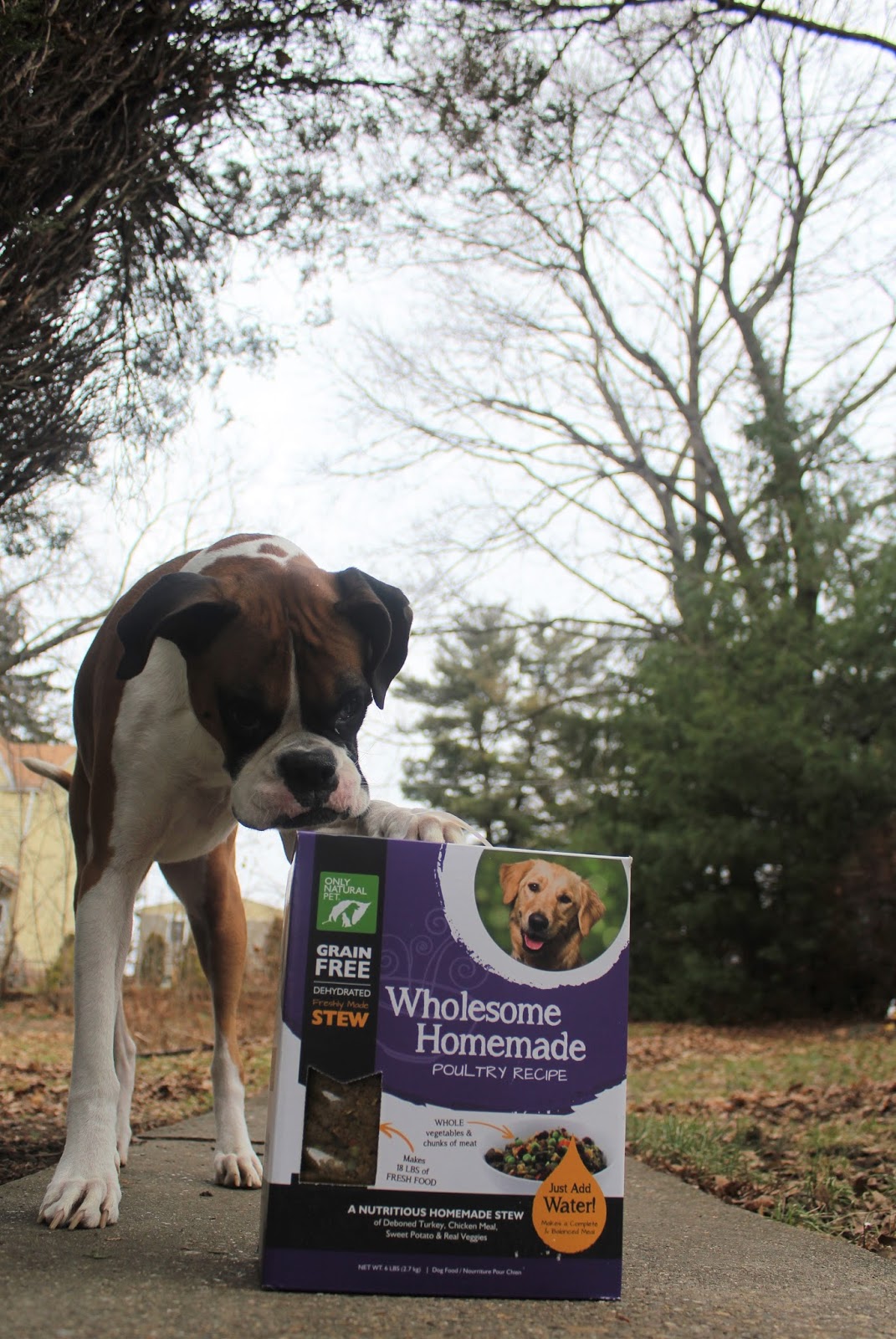 Dog Madness Freshly Nutritious Balanced & Complete Wholesome Homemade