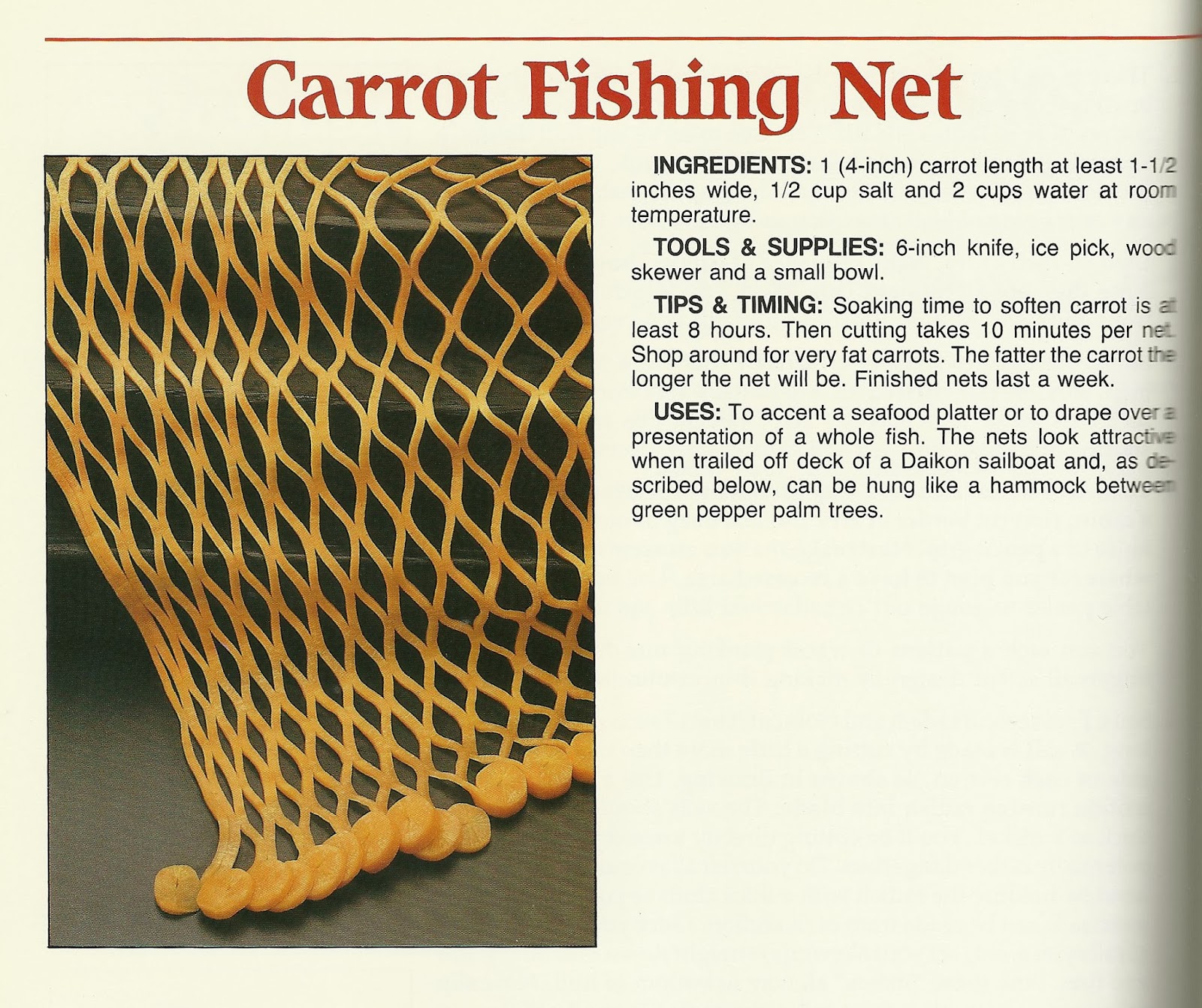 Yuckylicious Carrot Fishing Net