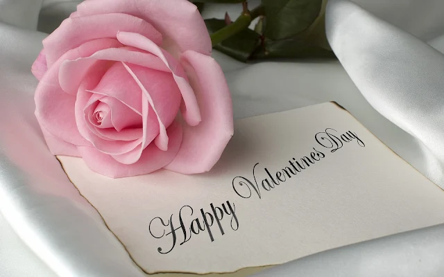 Roze roos en een briefje met de tekst Happy Valentines Day