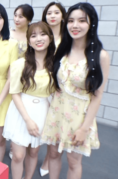 은비랑 나코