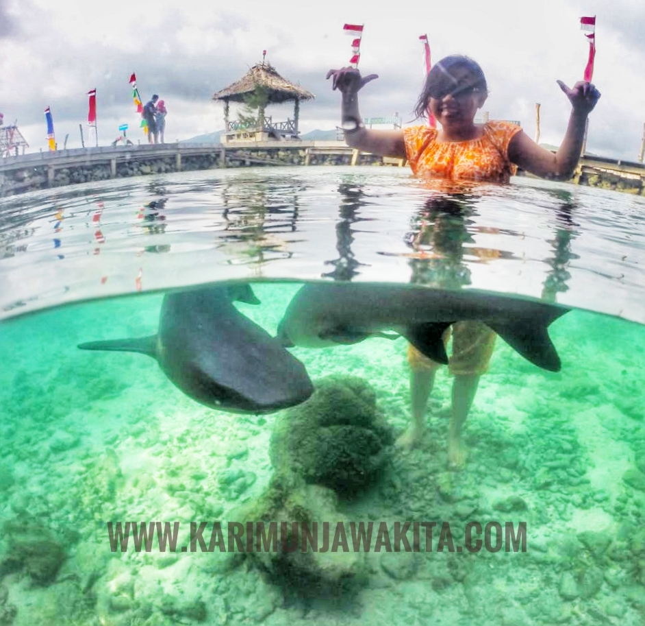 Paket Wisata Karimunjawa Bulan Januari 2021 | Karimunjawa ...