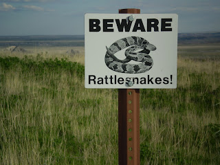 Graham Sedam, blog, thoughts, life, interests, beware, rattlesnakes, signs, Badlands, South Dakota, prairie grass, randomness, random