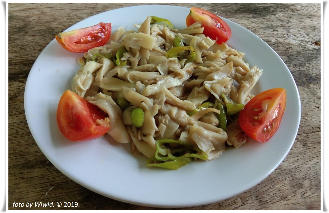 Cara Masak Tumis Jamur RESEP MASAK GAMPANG Masak apa Cara Masak Tumis Jamur RESEP MASAK GAMPANG Masak apa