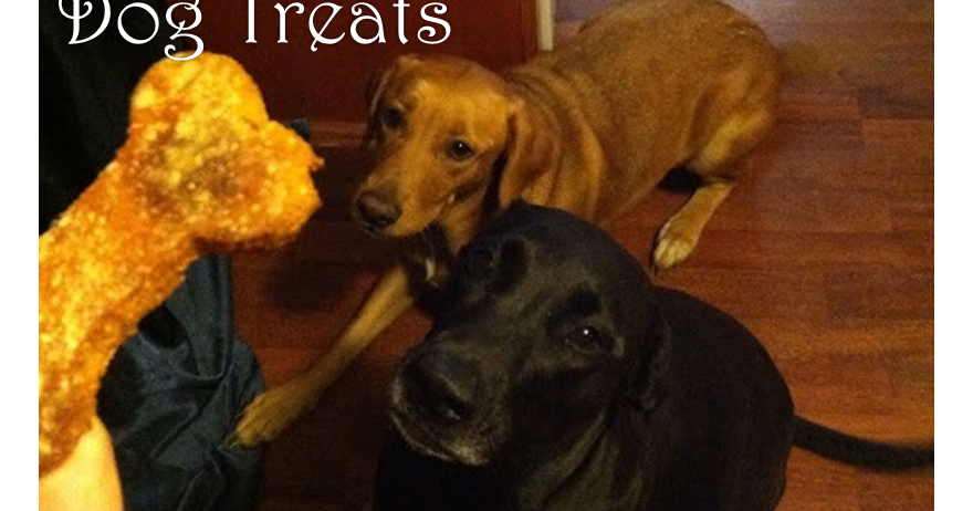 Things Dogs Can Eat Besides Dog Food Things Dogs Can Eat Besides Dog Food