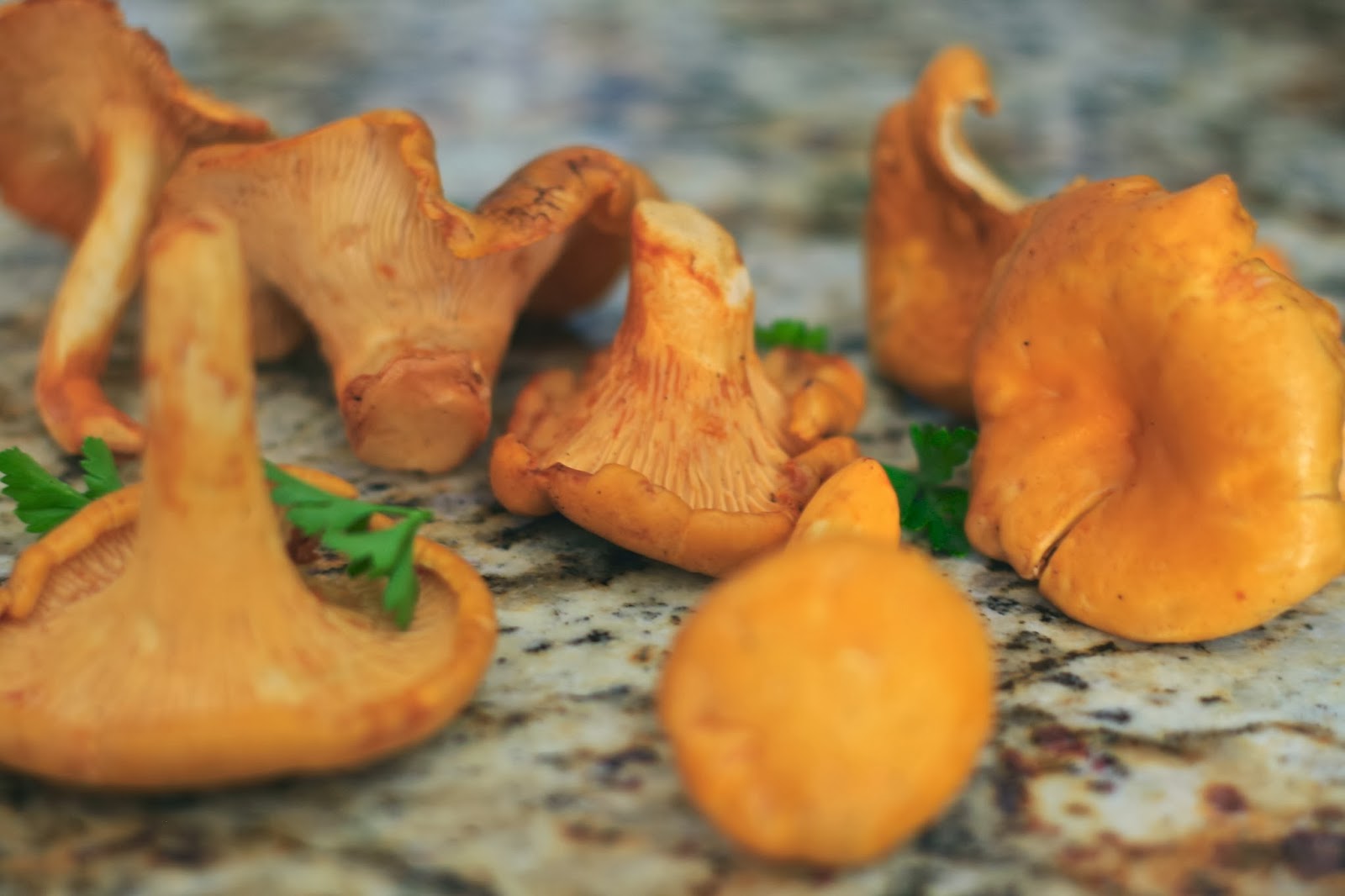 b + w baked eggs with chanterelles