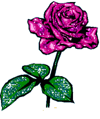 Rosas con brillo-flores para relagar-hermosas-animadas-tiernas-encantadoras