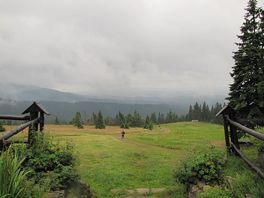 Panorama z Hali Rysianka. Panorama z Hali Rysianka.