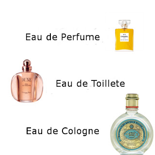 Perfume Series