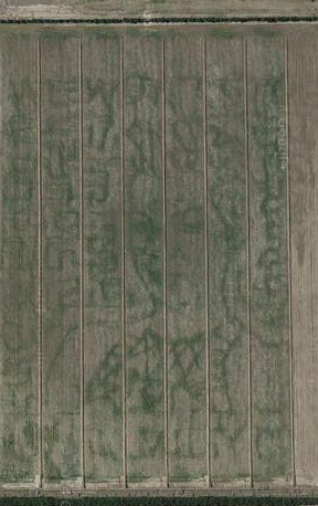 10 Most Bizarre Google Earth discovery in the World | Adam Blog