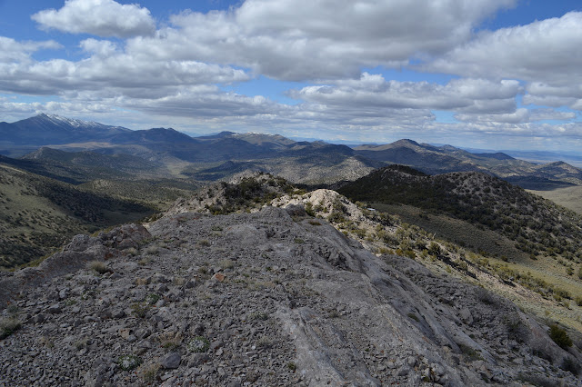 northerly along the ridge