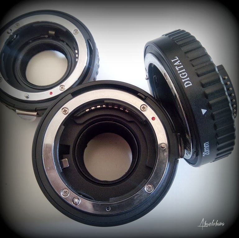 Fotografía Macro Tubos Extensión. (For Nikon) - Las cosas Abuelo O'hara
