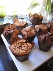 Tulip Paper Muffin Cases (Chocolate colour)