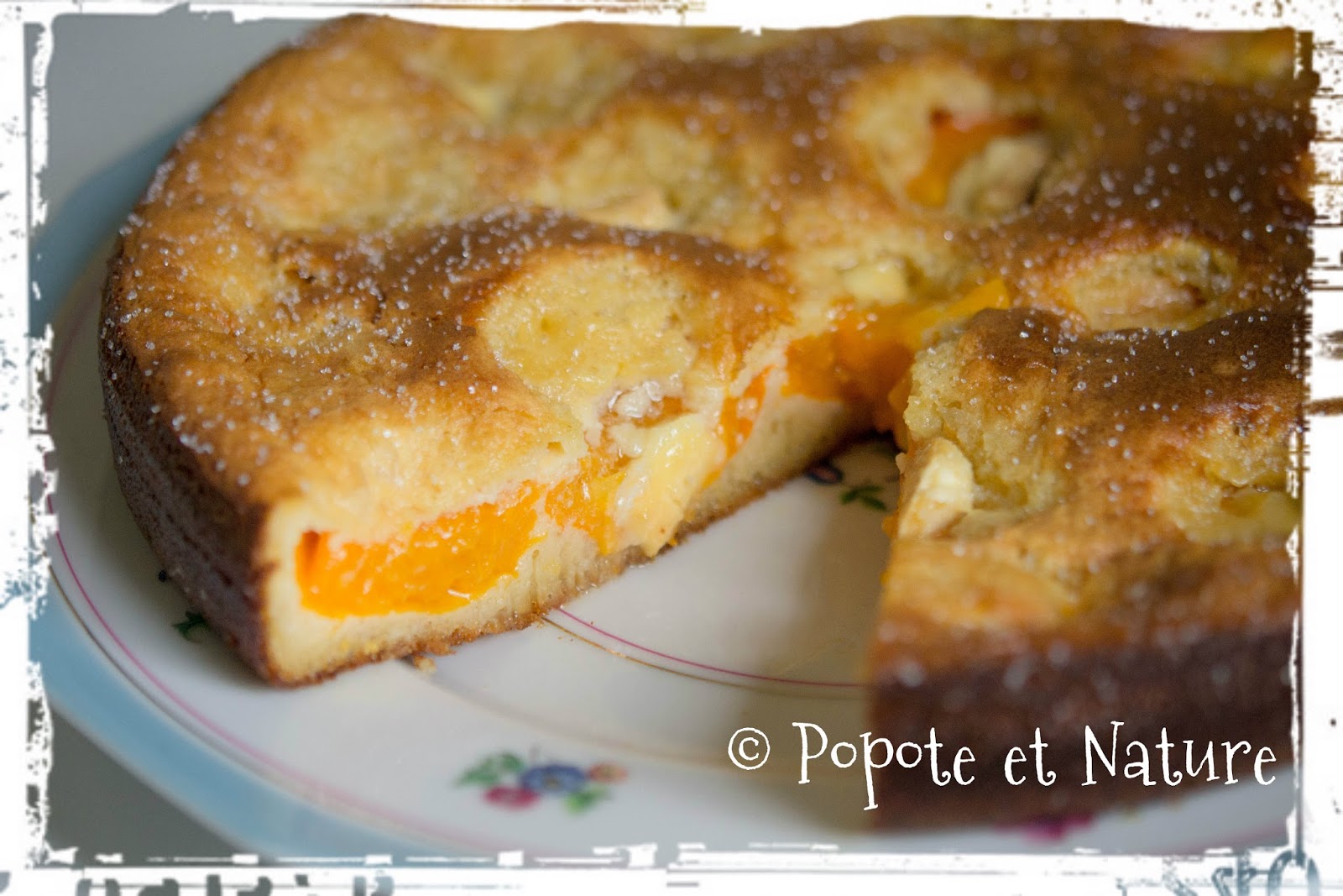 © Popote et Nature - Gâteau aux abricots et au chocolat blanc
