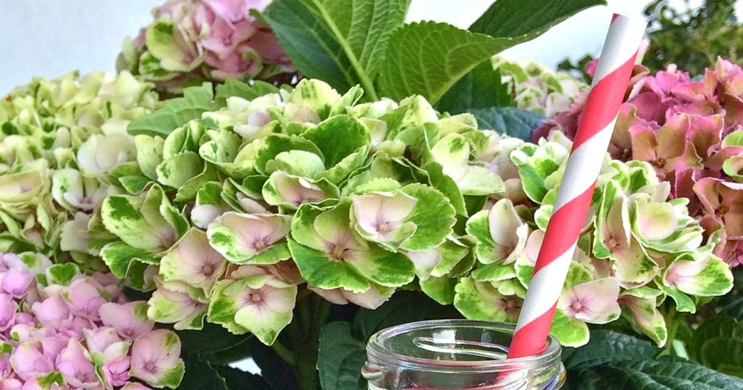 Heaven can wait My Breast Cancer Detox Juice Recipe