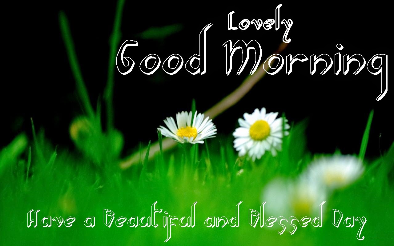 Good morning love wallpapers