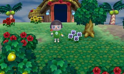 animal crossing new leaf rom citra download