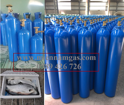 Bán bình Oxy cá, cung cấp bình Oxy cá