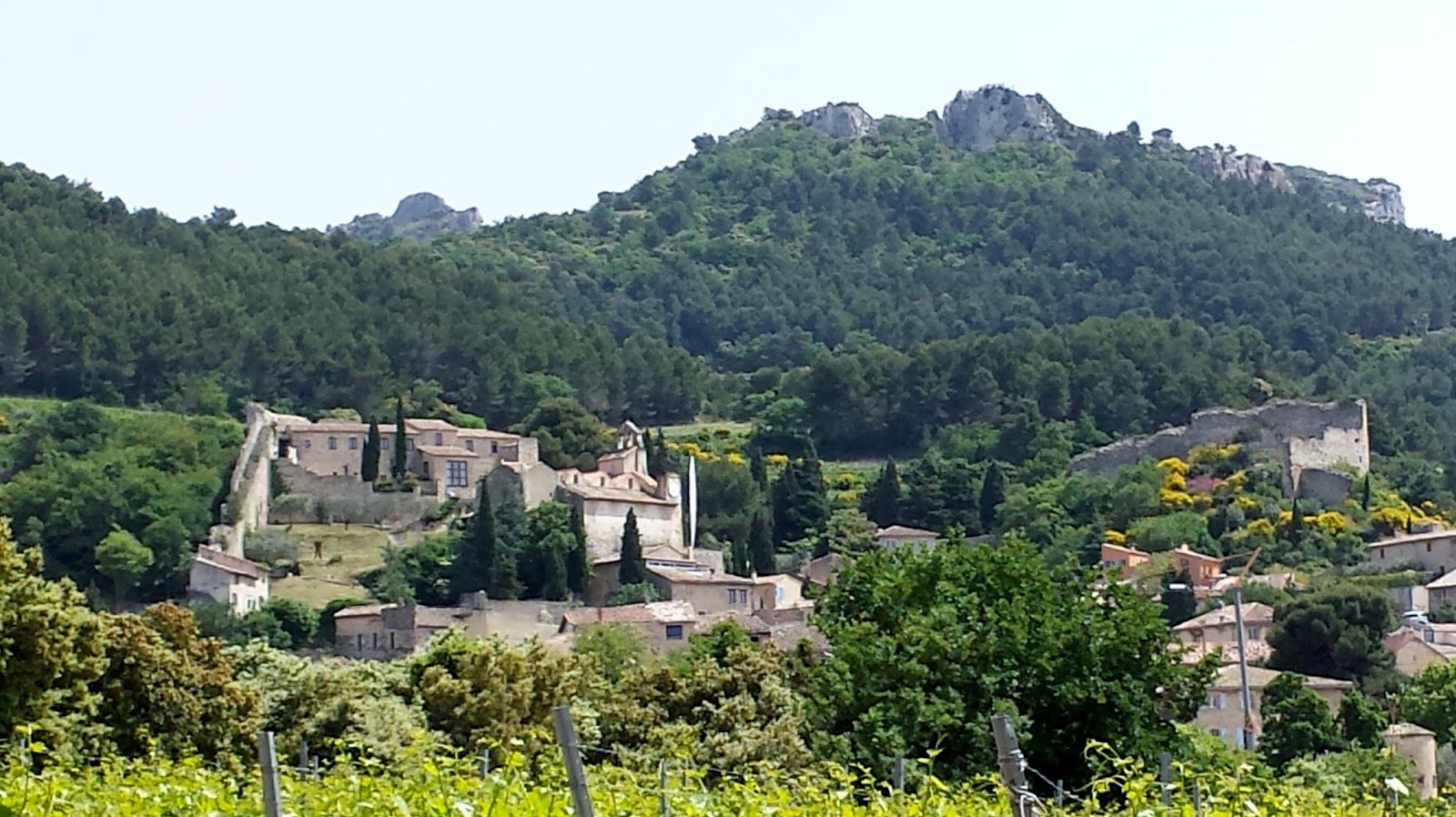 Our House in Provence, the Most Beautiful Region of France Wine