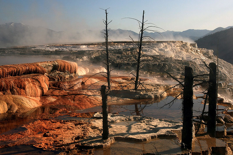 Brochure Zafira Pics: Free Brochure Yellowstone National Park
