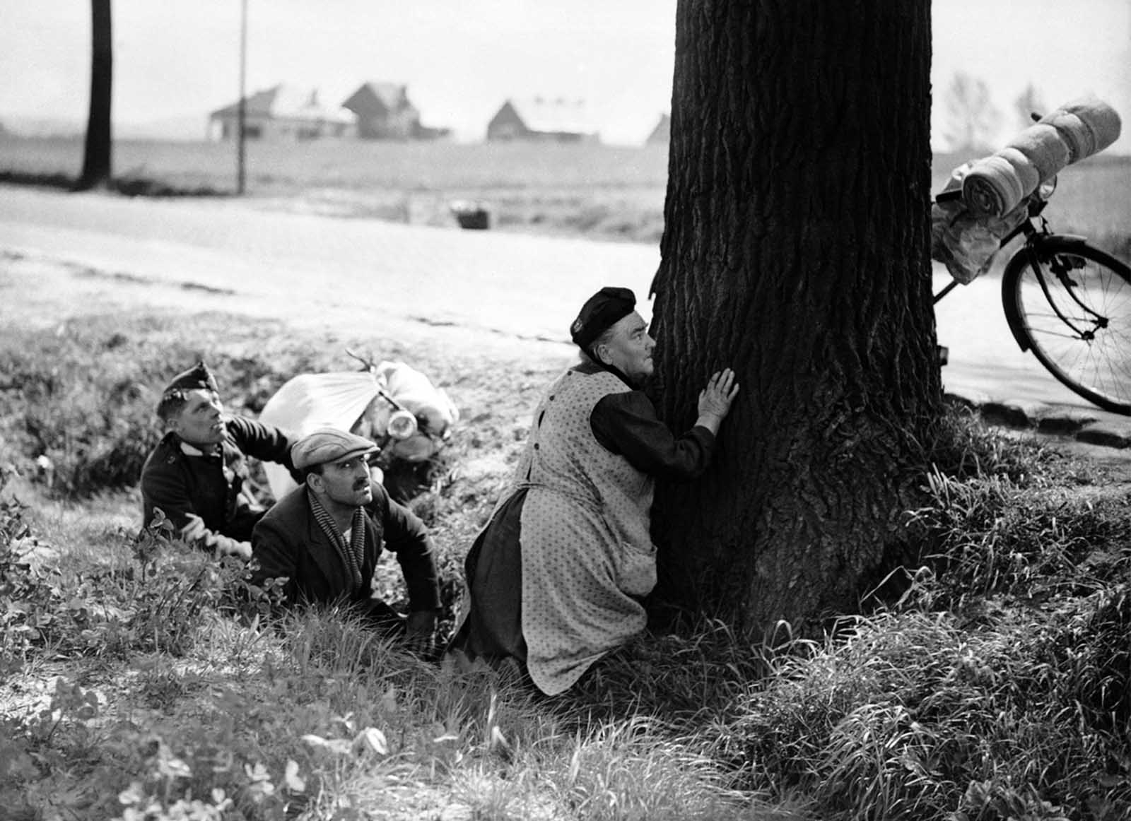A woman, fleeing from her home with the few possessions she can carry, takes cover behind a tree by the roadside, somewhere in Belgium, on May 18, 1940, during an aerial attack by Nazi planes. Her bicycle, with her belongings tied to it, rests against the tree, to which she clings for protection.