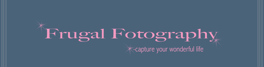 FRUGAL FOTOGRAPHY   Spring, Texas