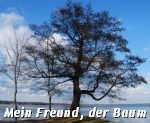 https://jahreszeitenbriefe.blogspot.com/search/label/Mein%20Freund%20der%20Baum