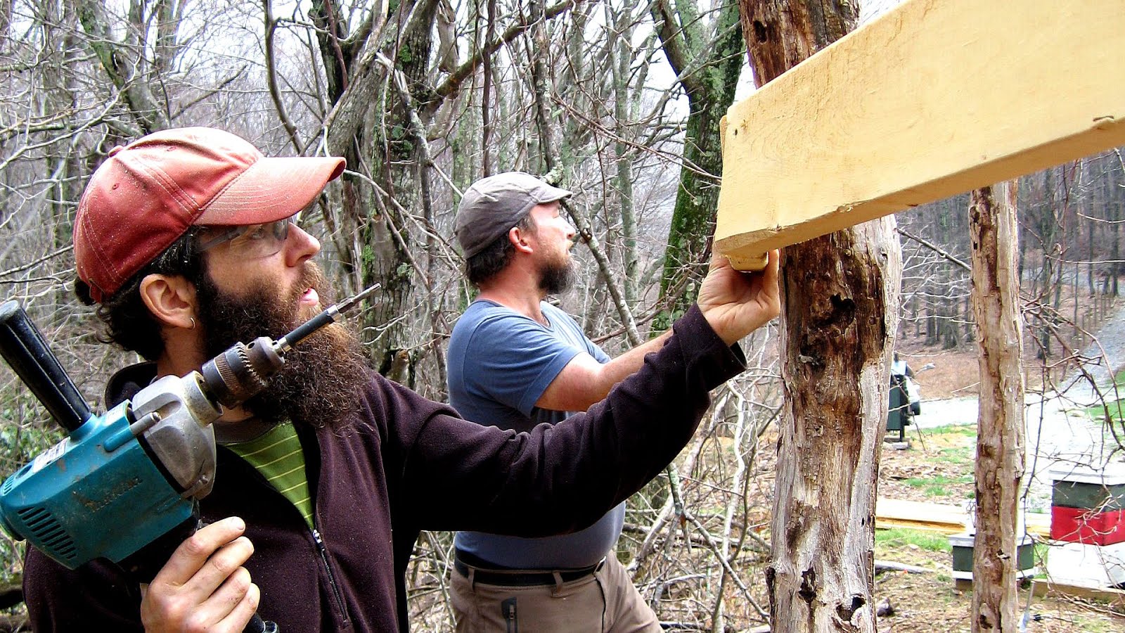 Massage Therapy Schools Virginia Beach School Choices