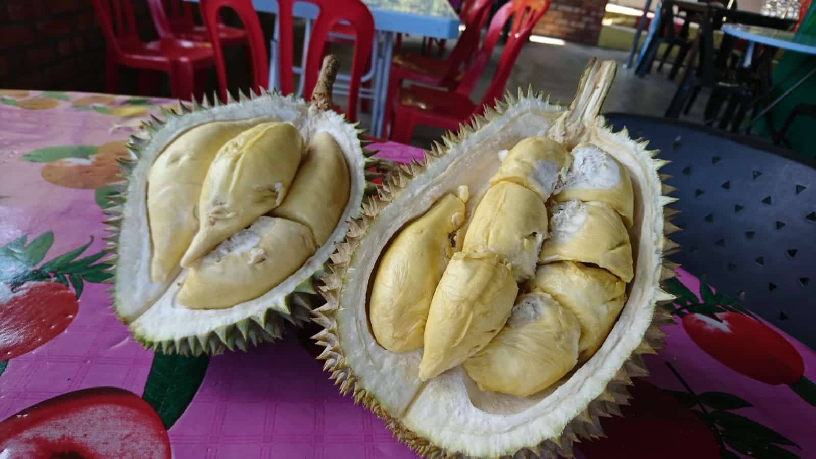 (槟城Penang)最便宜包车服务Cheapest Car Rental with driver