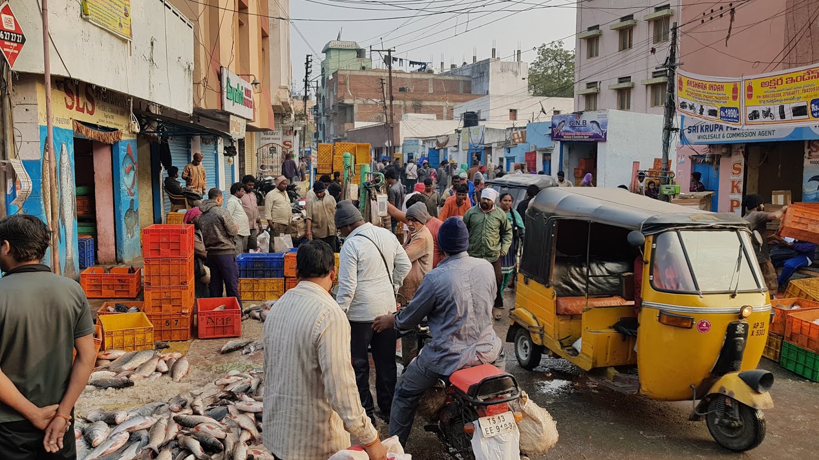 Raghu's column! Ramnagar Fish Market Our City’s Largest Fish Market!