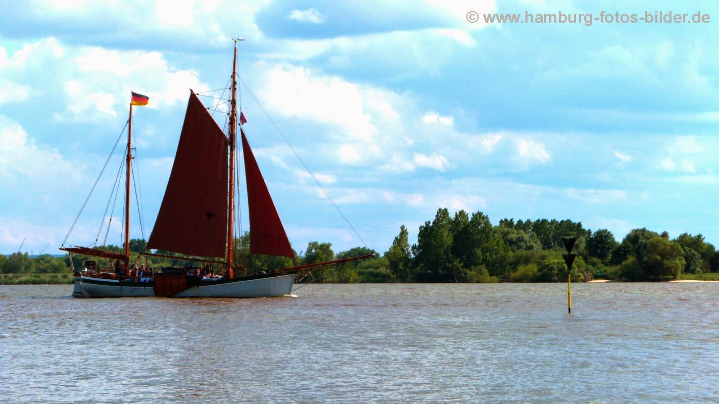 Segelboot fährt auf der Elbe vorbei an der Elbinsel Neßsand Segelboot fährt auf der Elbe vorbei an der Elbinsel Neßsand