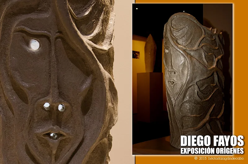 Diego Fayos - Exposición Orígenes. Fotografías y Video de la inauguración por Héctor Falagán De Cabo / hfilms & photography.