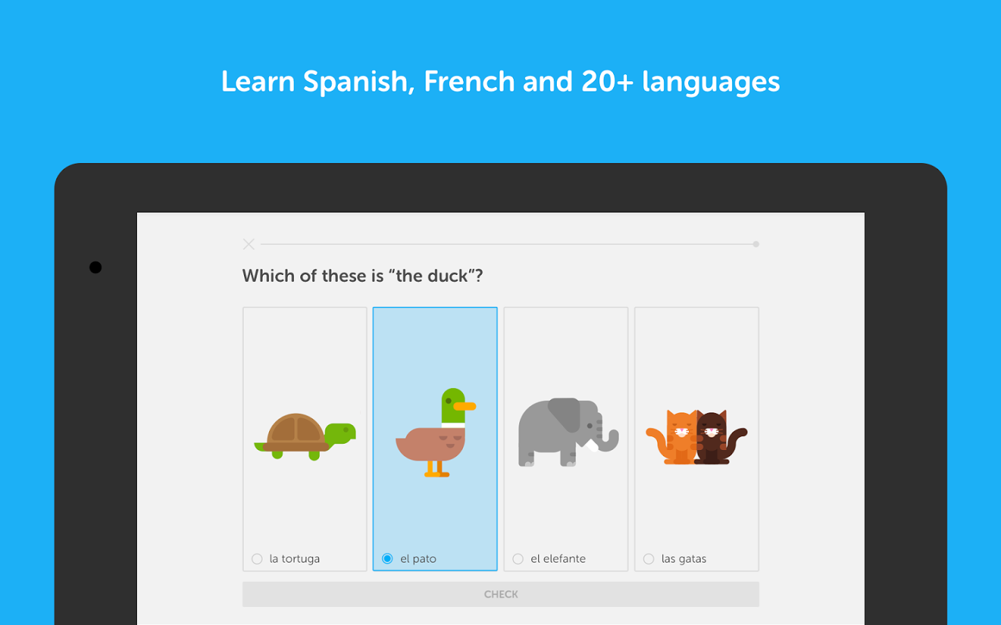 Learn another language