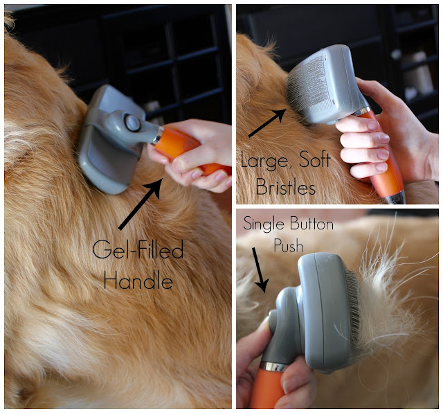 Grooming your golden, dog grooming tools, slicker brush