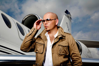 Pitbull Sunglasses HD Wallpaper